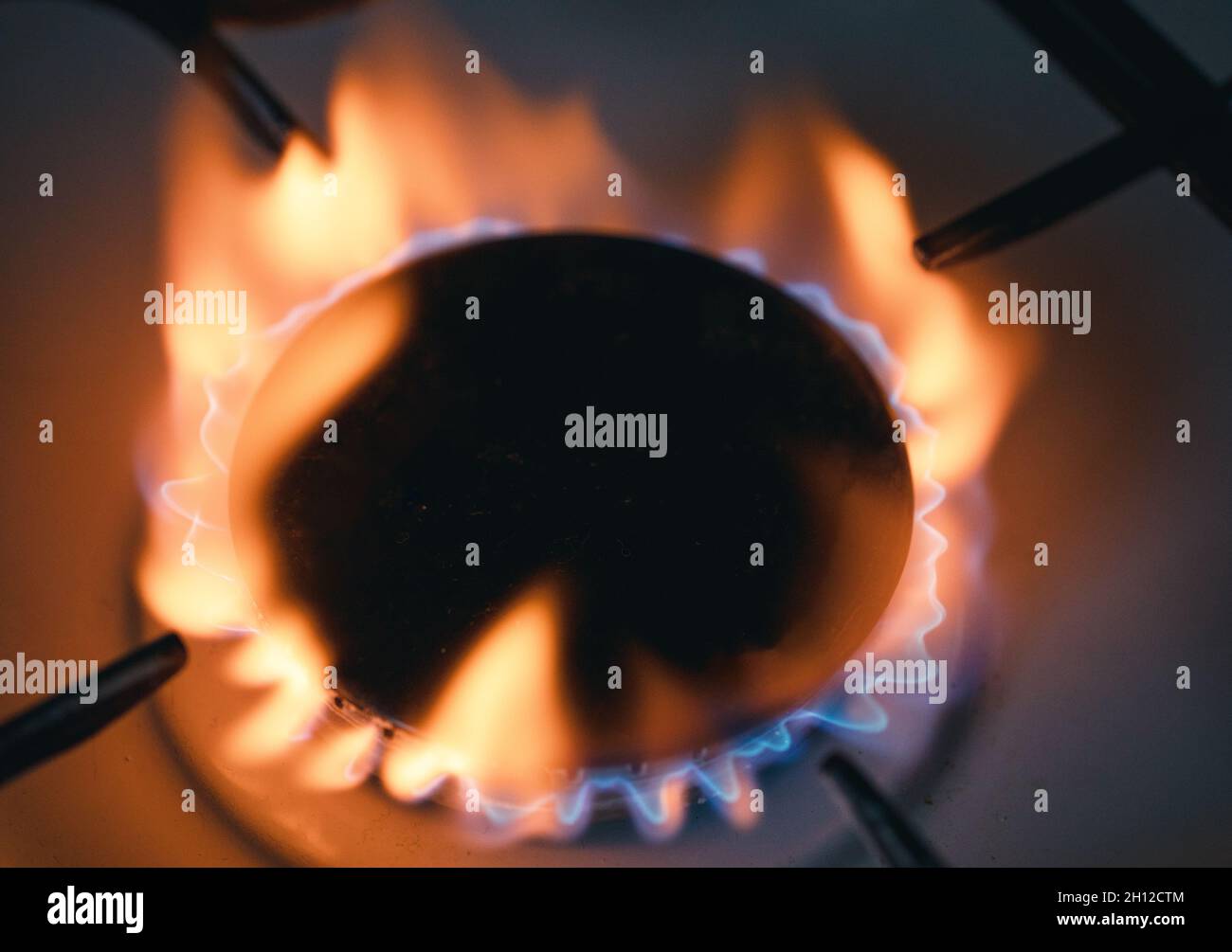 Gas flames, gas burner in a kitchen, gas price increase Stock Photo Alamy
