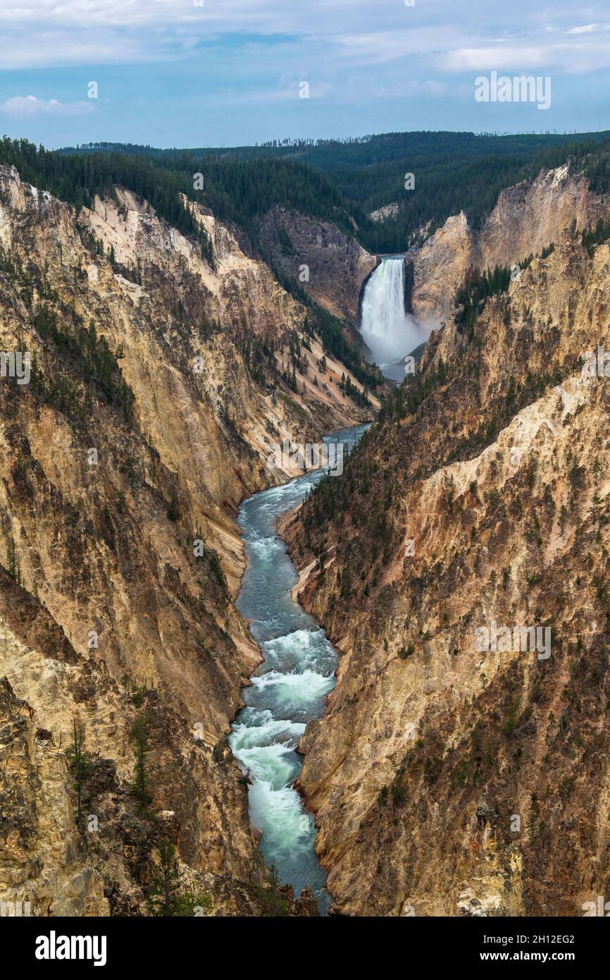 Grand Canyon of the Yellowstone and Lower Falls from Artist Point, Yellowstone National Park, Wyoming Stock Photo