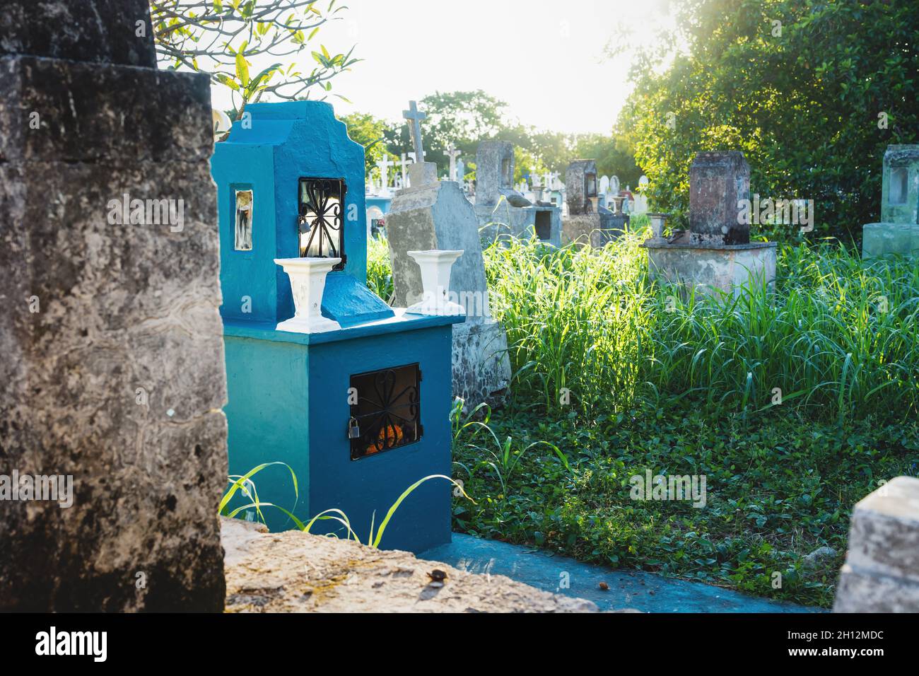 Field with abandoned tombstones in high grass with sunset backlight at ...