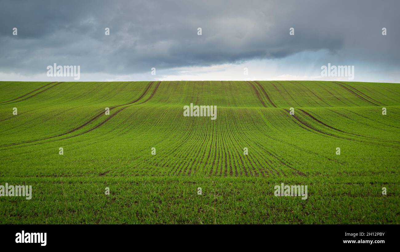 Green field against dark sky in rural Scotland. Stock Photo