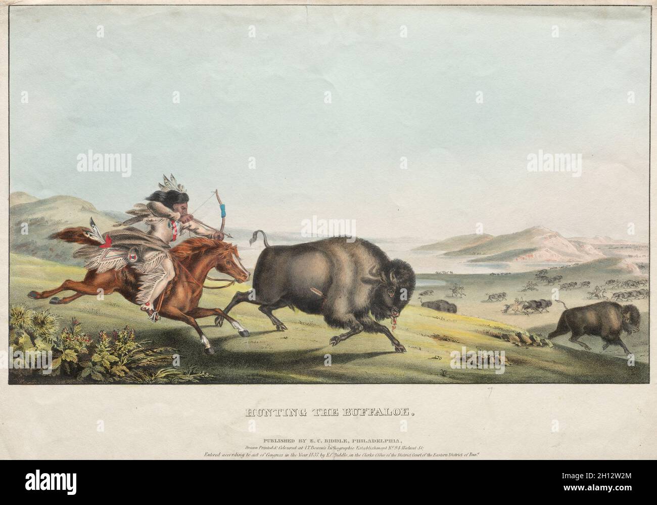 Hunting the Buffalo, 1837. E. C. Biddle (American), John T. Bowen (British, c. 1801-1856), after Peter Rindisbacher (Swiss), E.C. Biddle. Lithograph, hand colored; Stock Photo