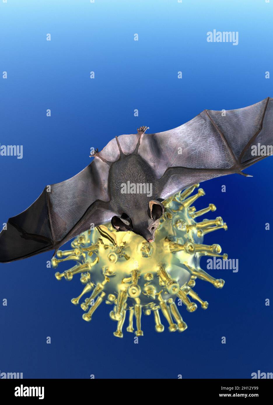 Bat and Covid-19 particle, illustration Stock Photo
