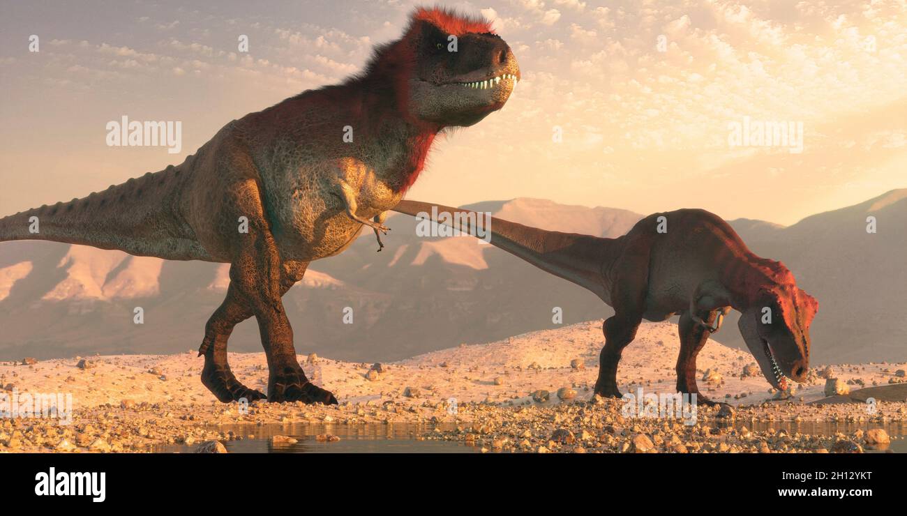 Artwork of a pair of tyrannosaurus Stock Photo
