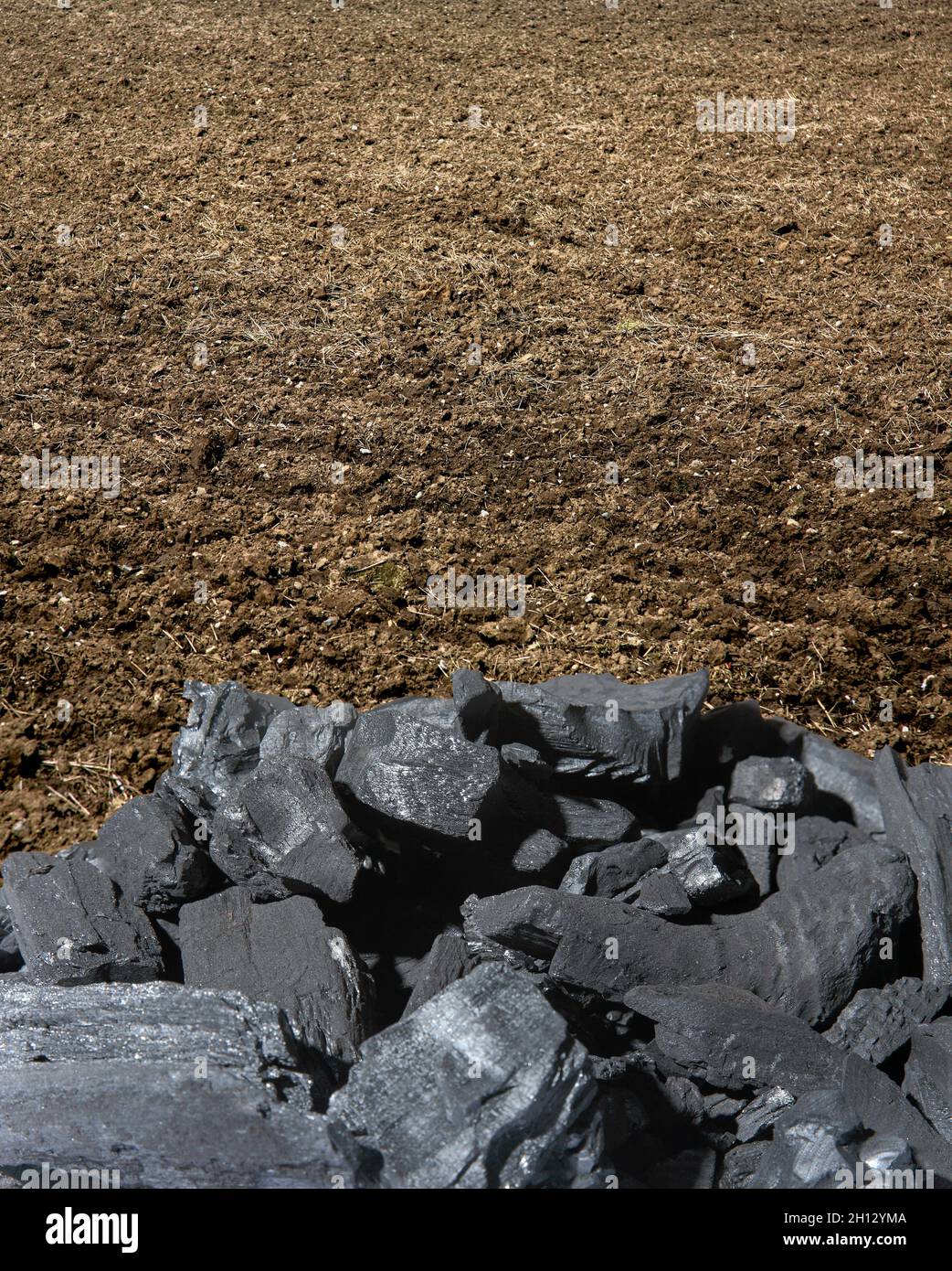Biochar enhancing soil quality, conceptual image Stock Photo