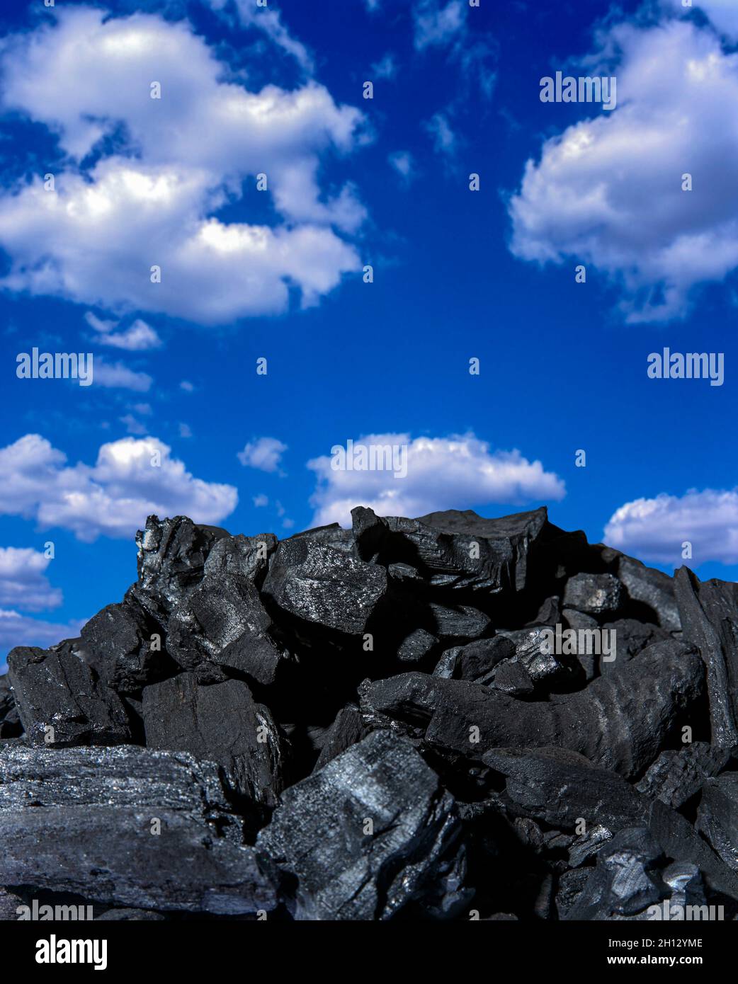Biochar, conceptual image Stock Photo - Alamy