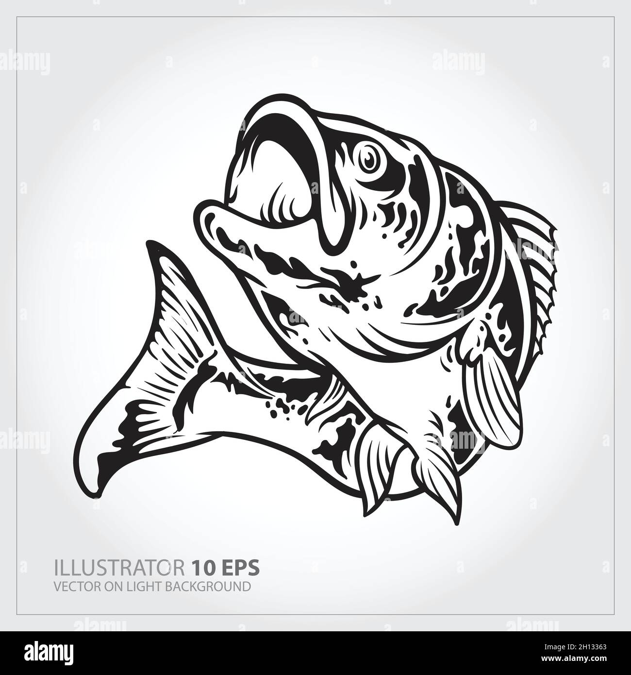 Vector Illustration of a largemouth bass fish jumping in white