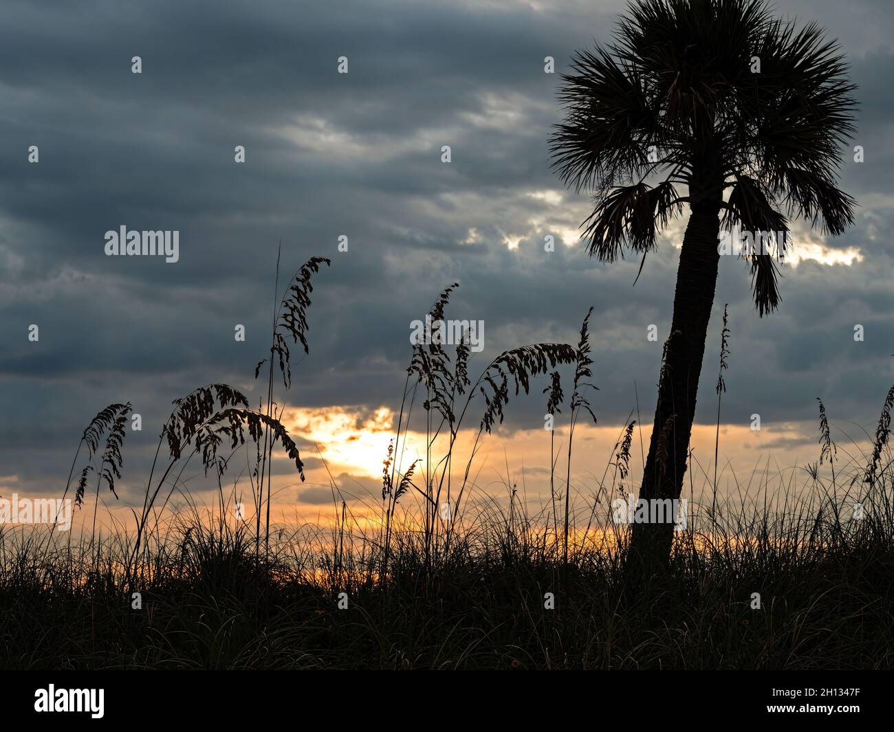 Sunset at Howard Park Beach, Florida Stock Photo