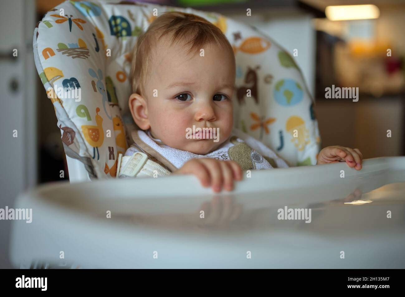Adorable little baby boy sitting in high chair Stock Photo Alamy