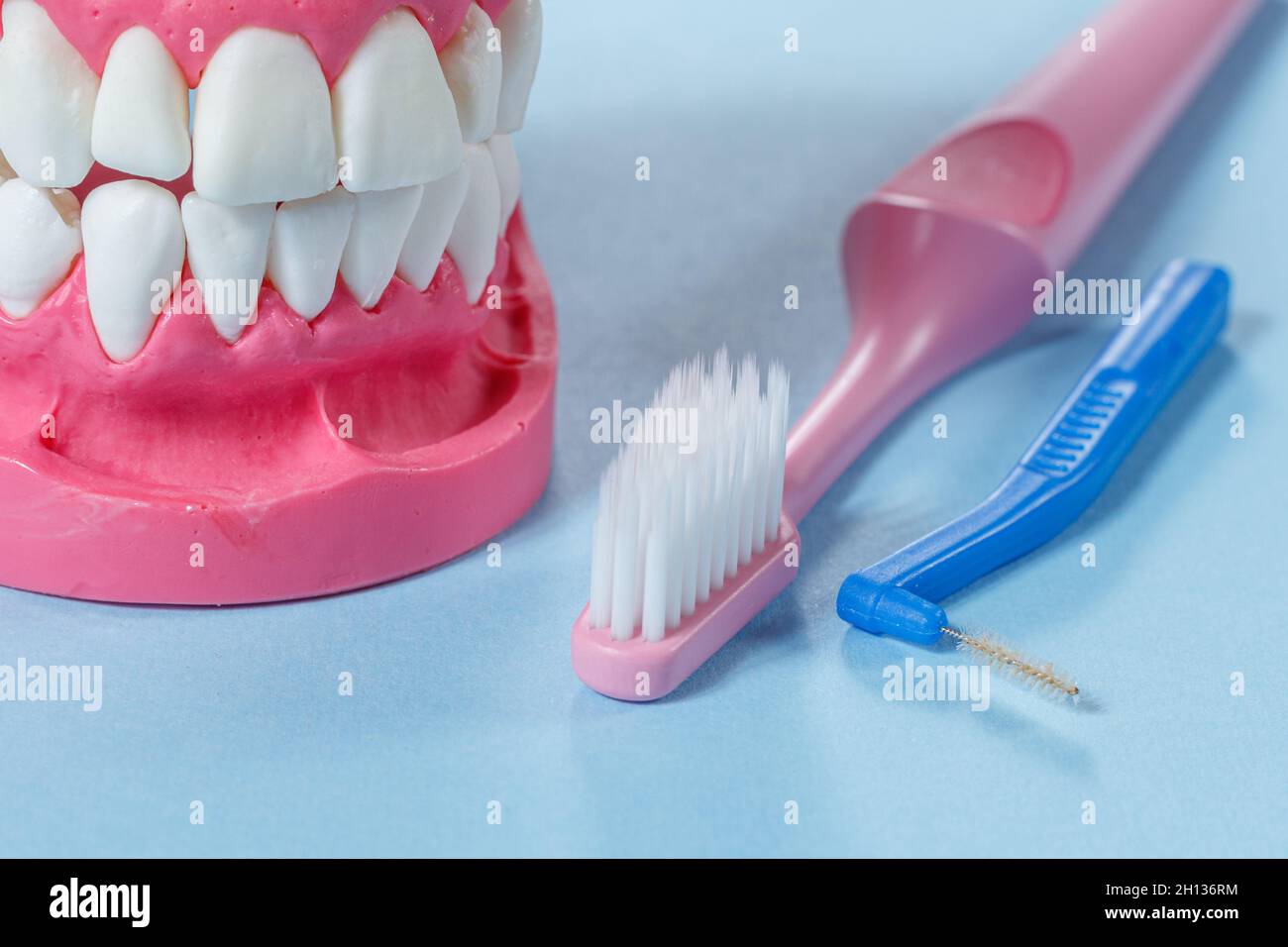 Toothbrushes and layout of a human jaw on the background Stock Photo ...