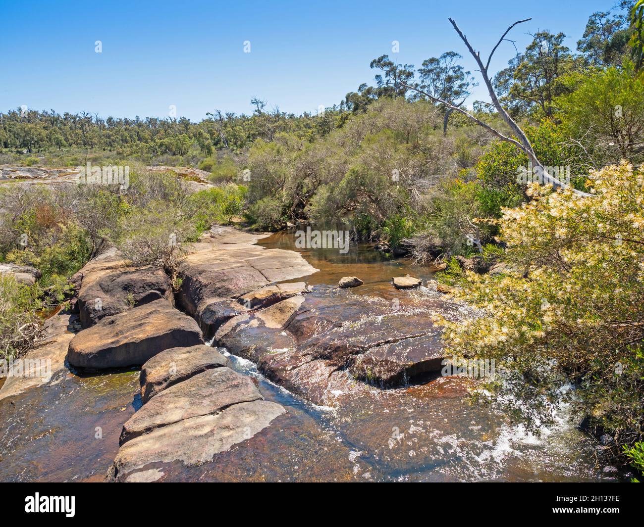 In winter and spring Jane Brook feeds into the Hovea Falls in John Forrest National Park, near Perth in Western Australia. Stock Photo