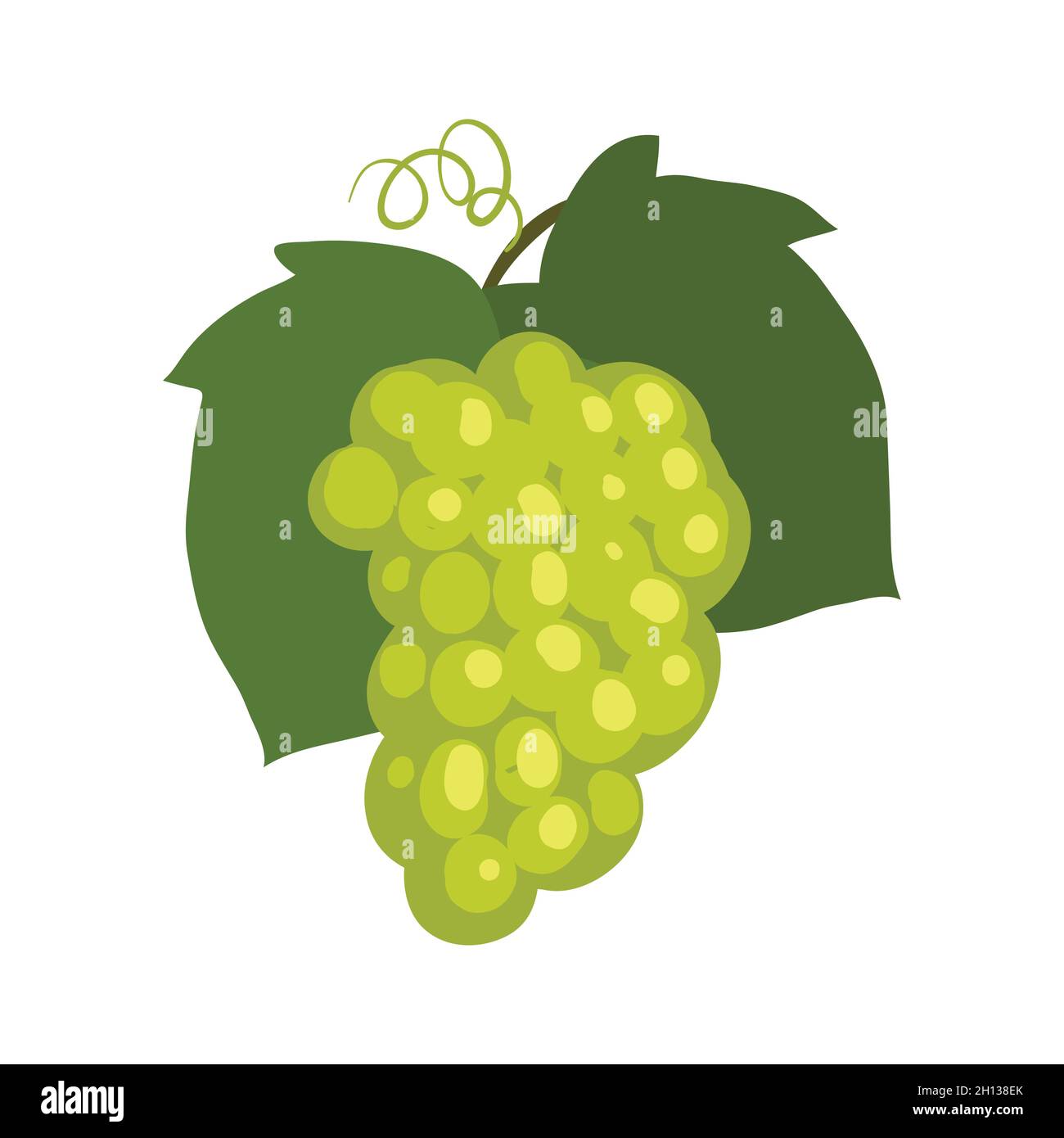 Green Grapes clip art Stock Vector Image & Art Alamy