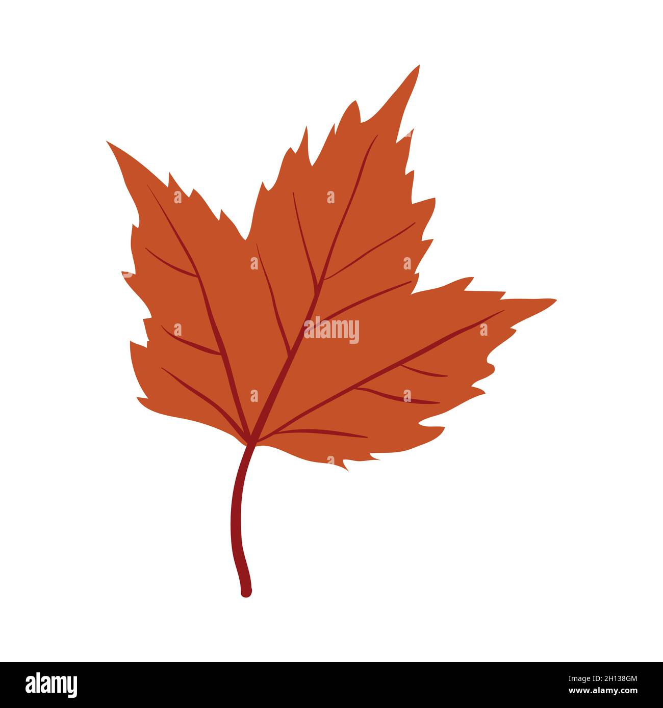 Red Maple tree leaf clip art Stock Vector