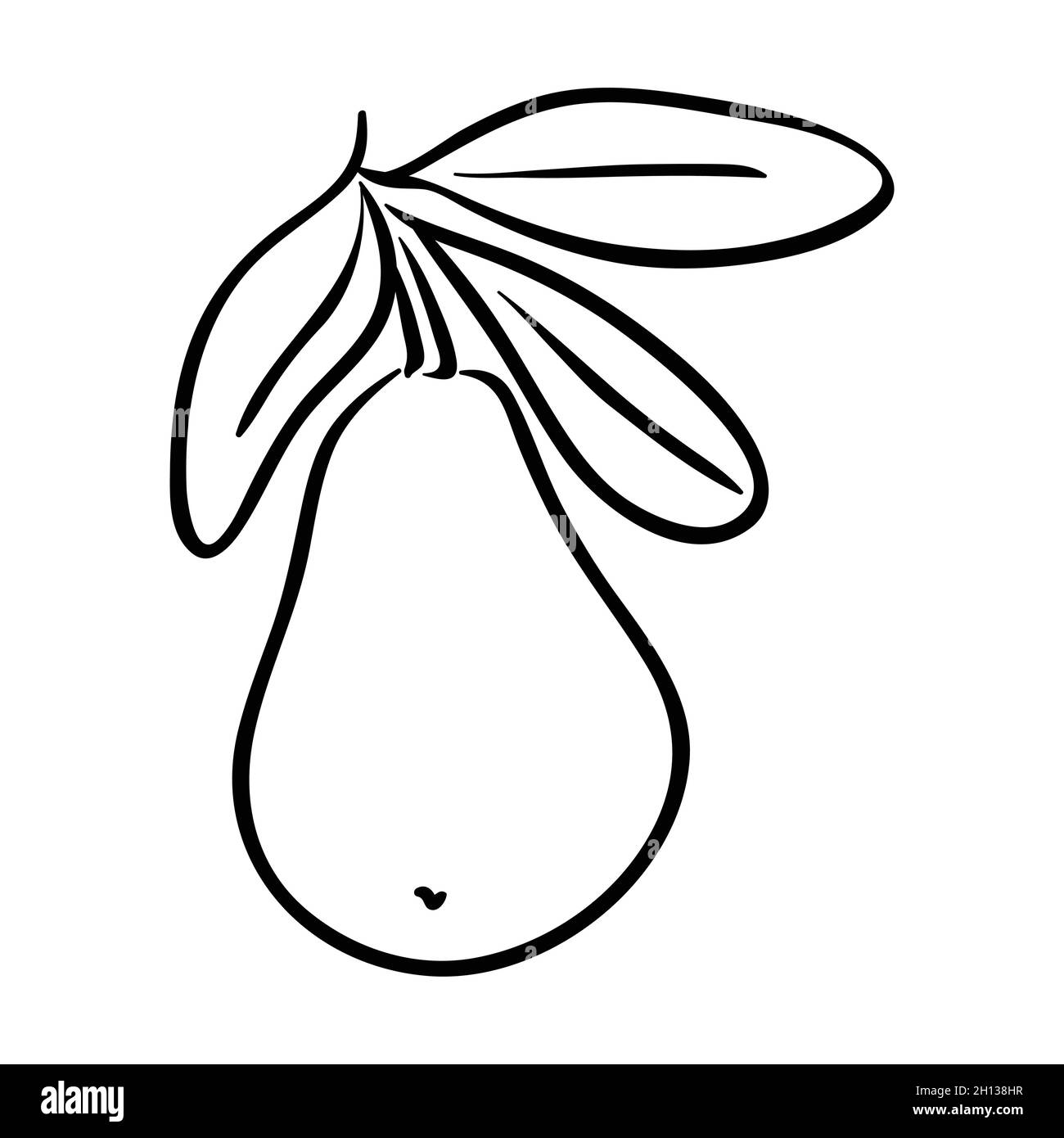 Pear fruit line art Stock Vector