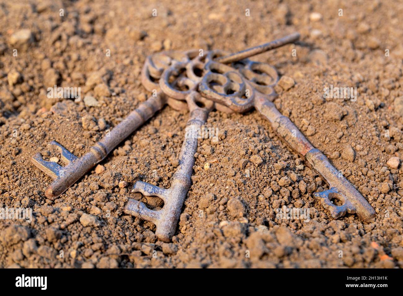Old rusty key on grunge background. Antique keys on the rusty ground of