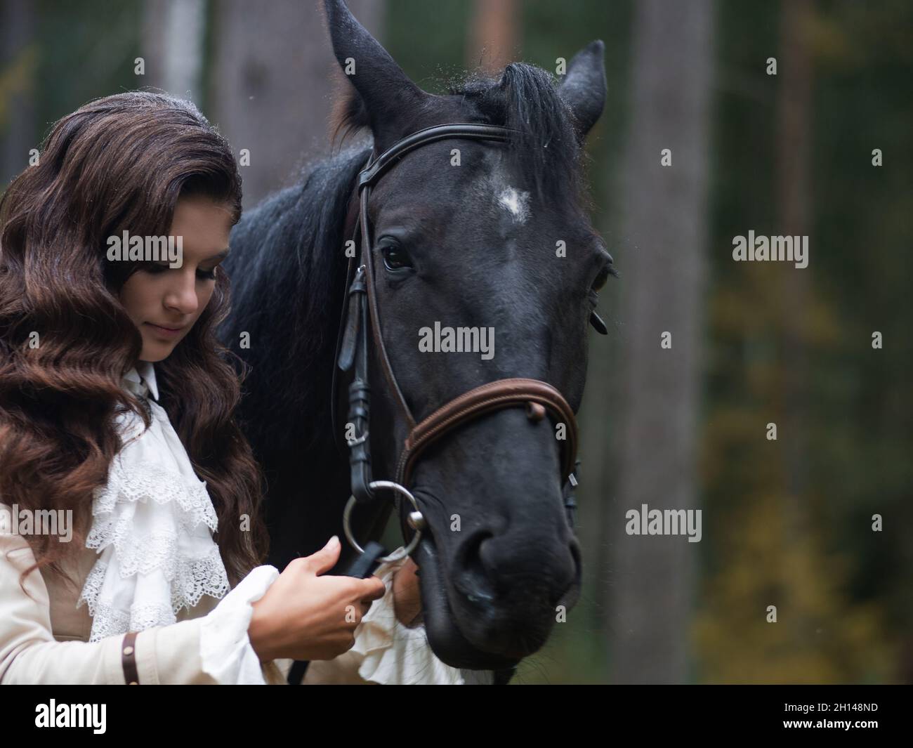 A young beautiful brunette rider next to a black mare in full ammunition, portrait in a stable in a forest area Stock Photo