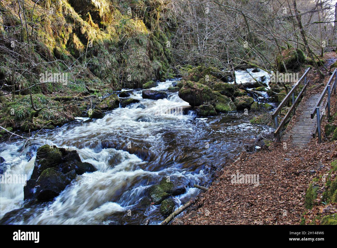 Ness Glen, Dalmellington, Scotland