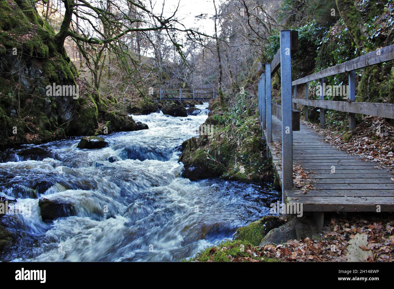 Ness Glen, Dalmellington, Scotland main image 0