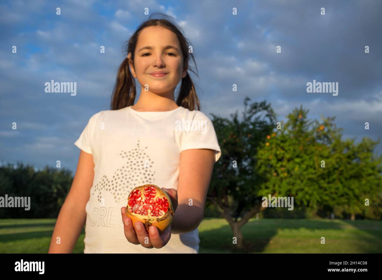 Child girl shows open fresh pomegranate. Pomegranate trees behind Stock Photo