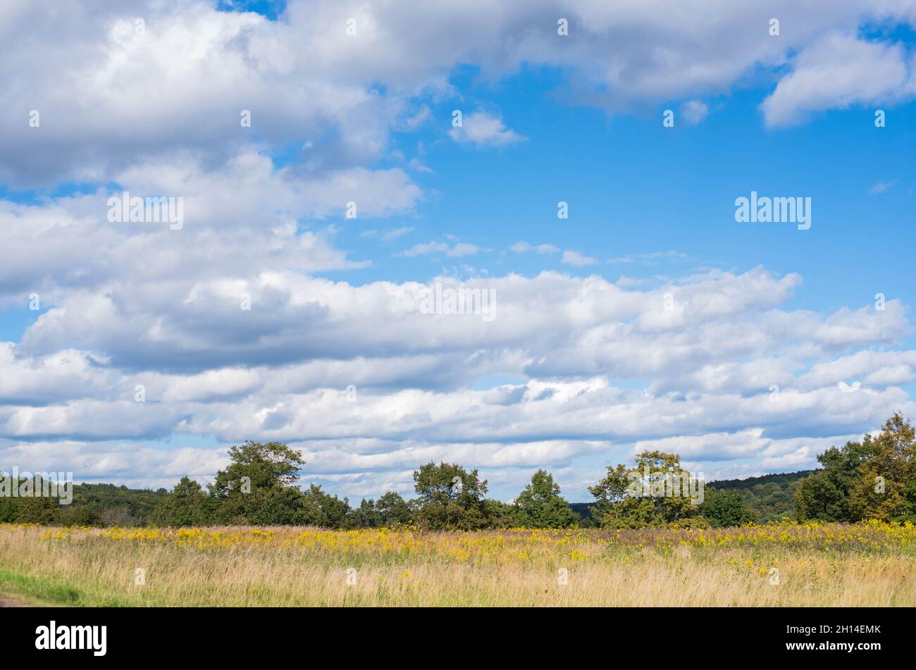 Clouds float over rolling green hills in rural Pennsylvania, USA.fluffy Stock Photo