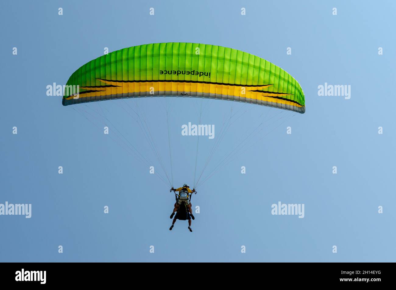 Tandem green and yellow-colored parachute against clear blue sky. Stock Photo