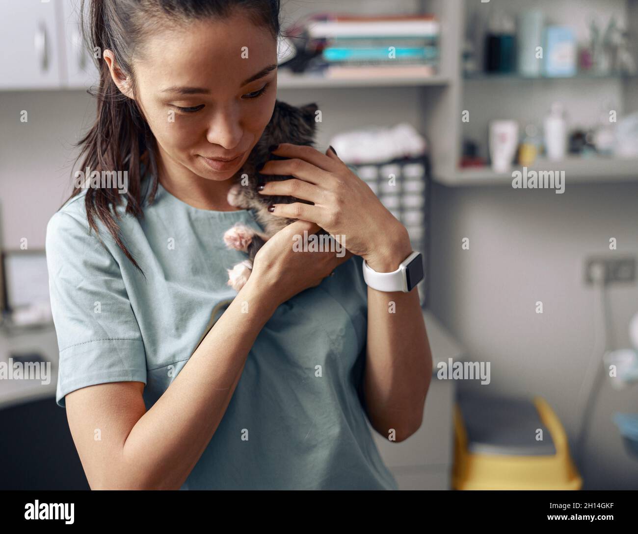 Asian lady veterinarian embraces adorable kitten in modern clinic office Stock Photo