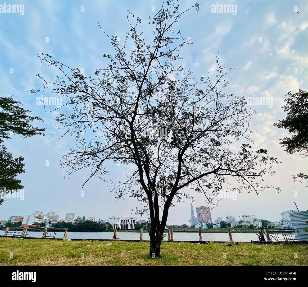 Riverside park in downtown Saigon, Vietnam. Saigon is the capital of ...