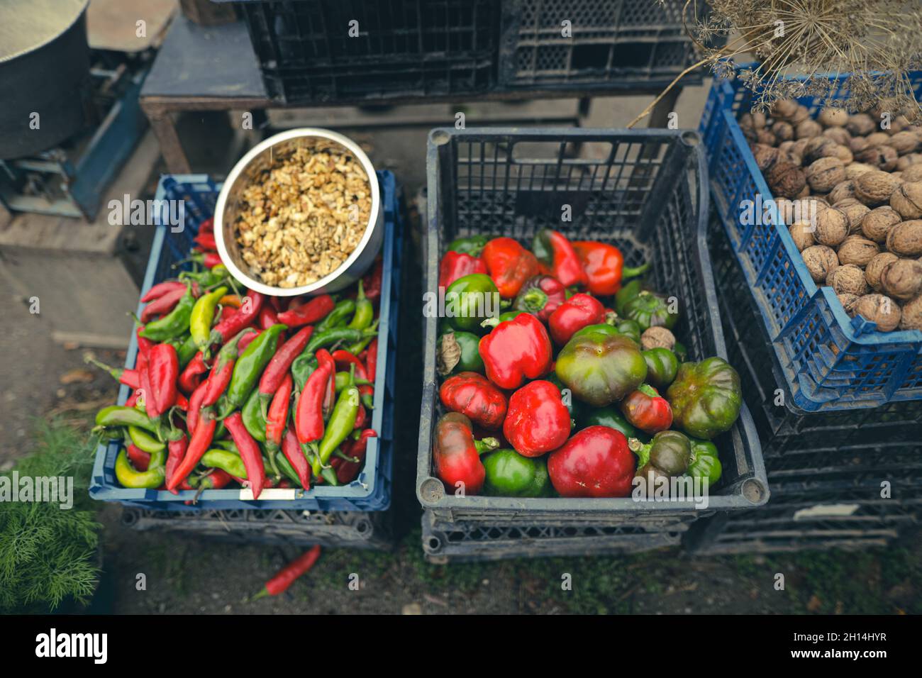 Shallow depth of field (selective focus) image with vegetables (red and ...