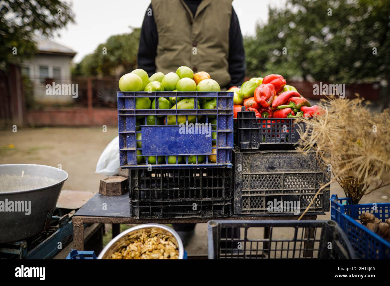 Shallow depth of field (selective focus) image with vegetables (red and ...