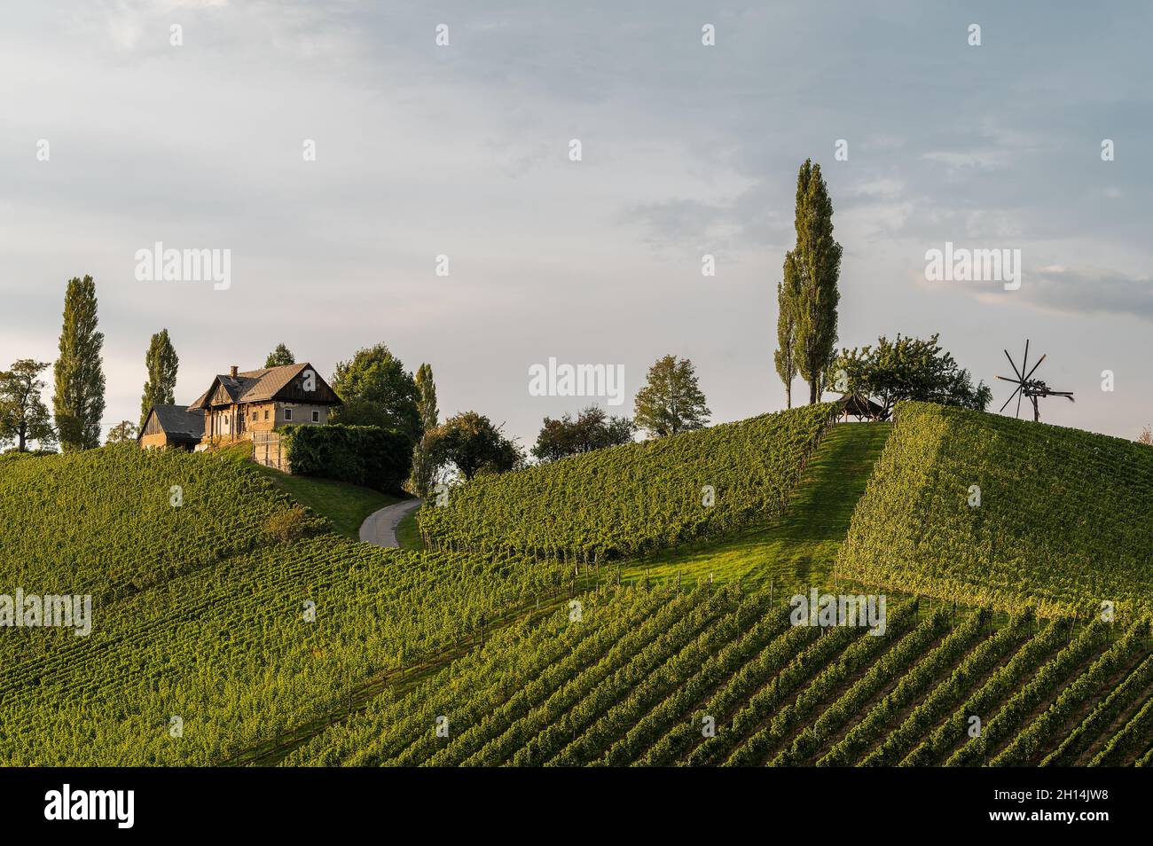 viticulture in Styria, Austria Stock Photo