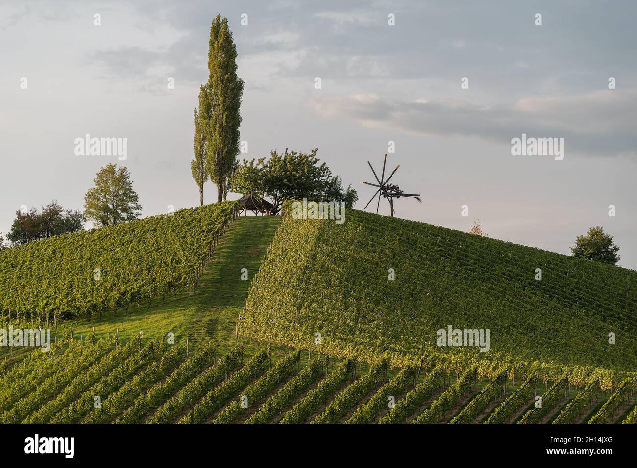 viticulture in Styria, Austria Stock Photo