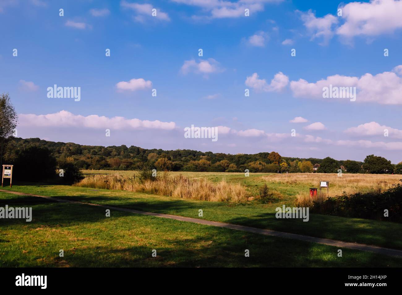 Ashtead common view hi-res stock photography and images - Alamy