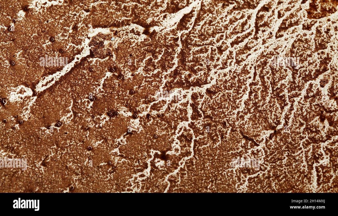 coffee grounds divination, patterns revealed on a white surface after