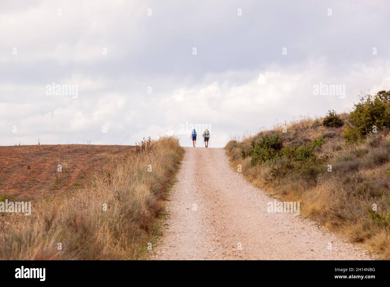 Pilgrims walking through the Spanish countryside between Estella and Los Arcos on the Camino de Santiago the way of St James pilgrimage route Stock Photo