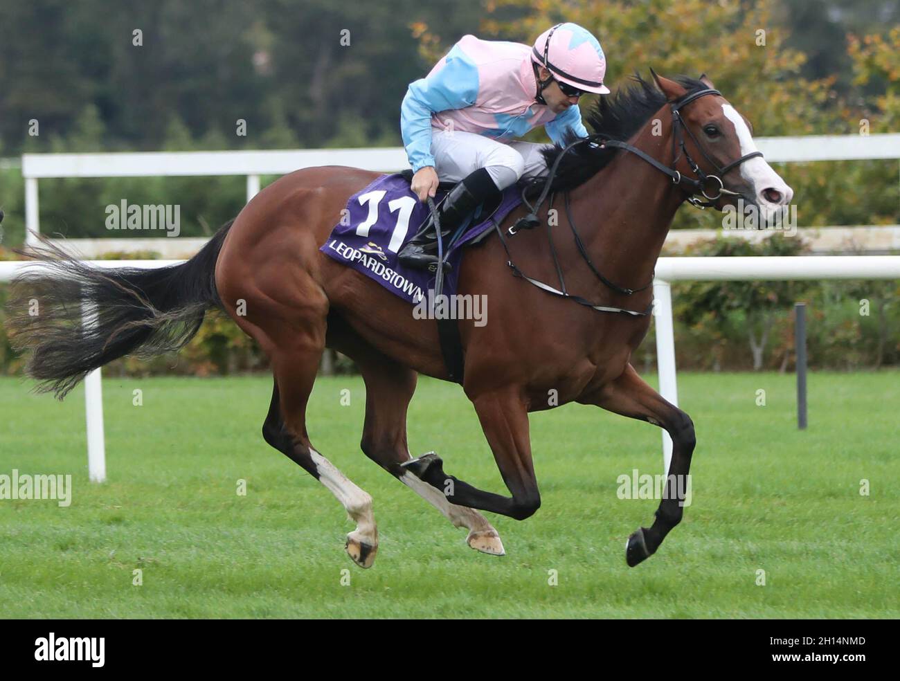 Moracana ridden by Robbie Colgan win the Leopardstown Members Club Maiden at Leopardstown Racecourse. Picture date: Saturday October 16, 2021. Stock Photo