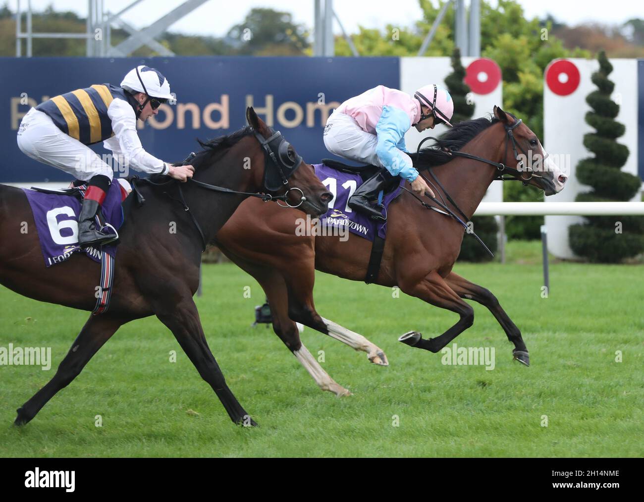 Moracana (right) ridden by Robbie Colgan win the Leopardstown Members Club Maiden at Leopardstown Racecourse. Picture date: Saturday October 16, 2021. Stock Photo
