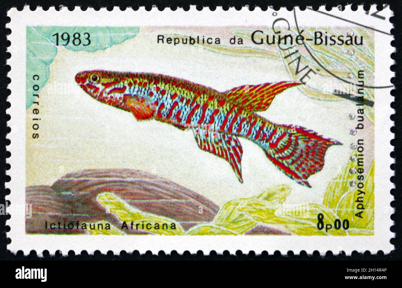 GUINEA-BISSAU - CIRCA 1983: a stamp printed in Guinea-Bissau shows Aphyosemion bualanum, is a species of African rivulines endemic to Africa, circa 19 Stock Photo