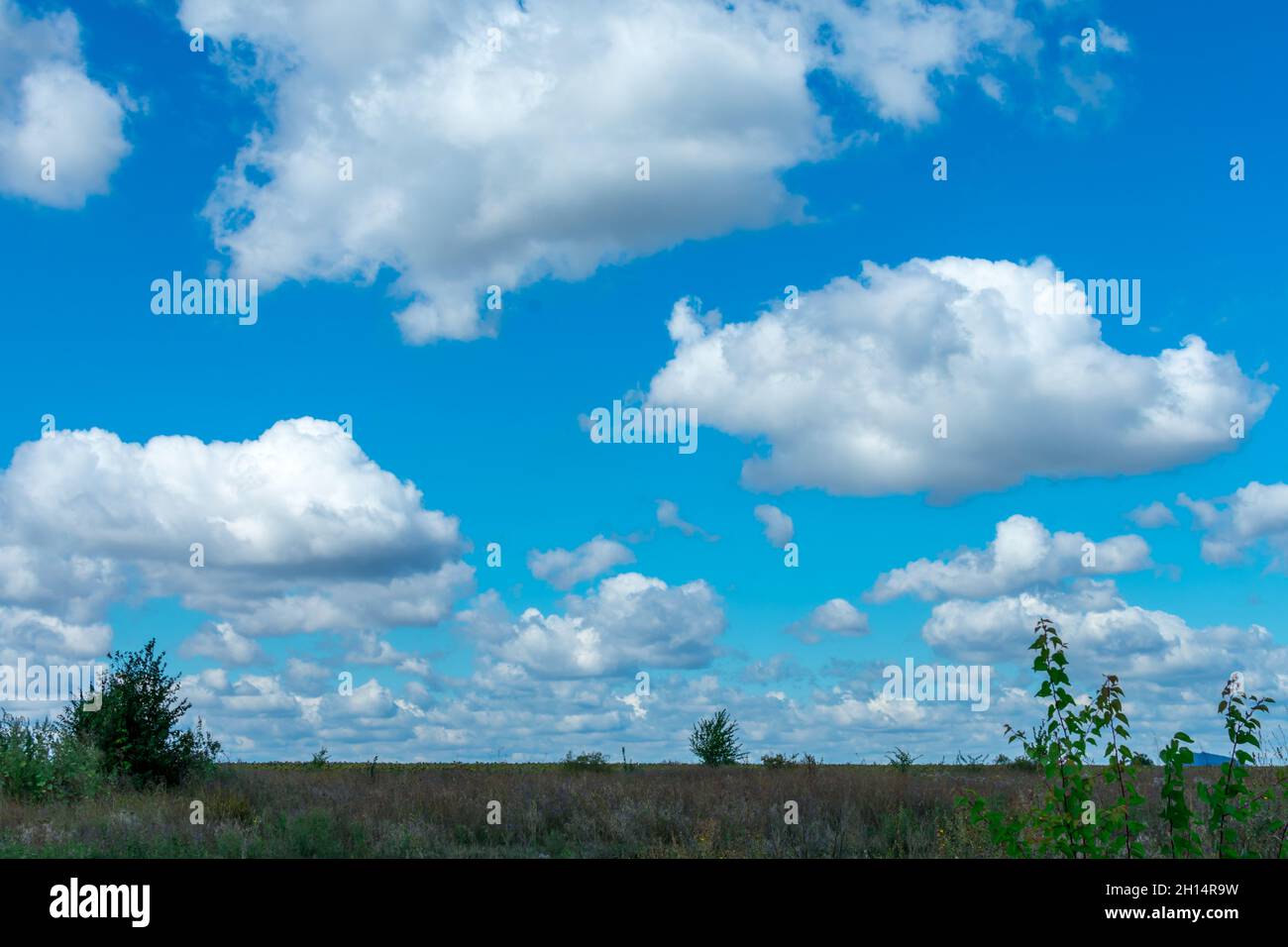 Landscape Nature. Blue sky with large white cumulus clouds on the ...