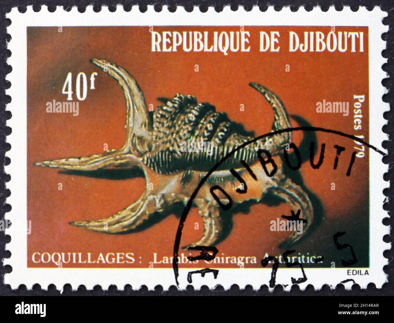 DJIBOUTI - CIRCA 1979: a stamp printed in Djibouti shows Arthritic spider conch, lambis chiragra arthritica, sea snail, circa 1979 Stock Photo