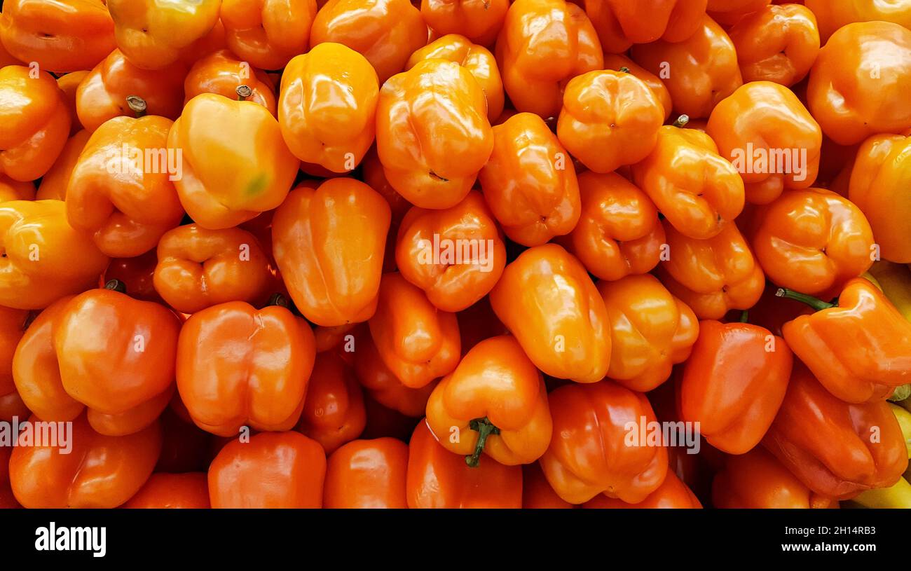 Orange bell peppers for sale on a store display. Vegetables rich in