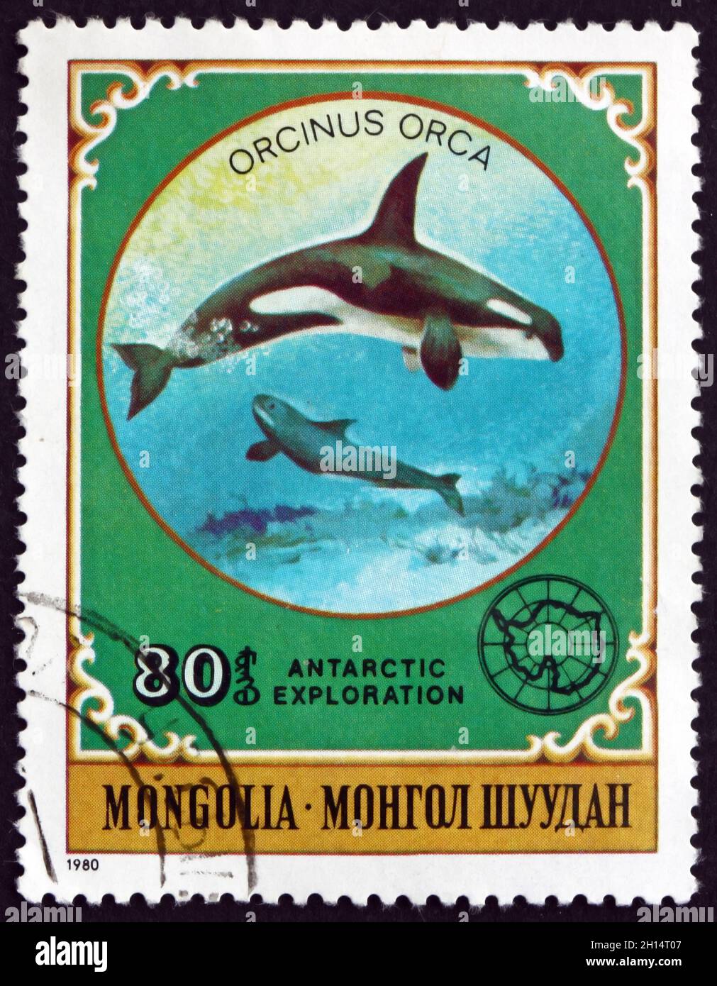 MONGOLIA - CIRCA 1980: a stamp printed in Mongolia shows Killer Whale, Orcinus Orca, is a Toothed Whale, circa 1980 Stock Photo