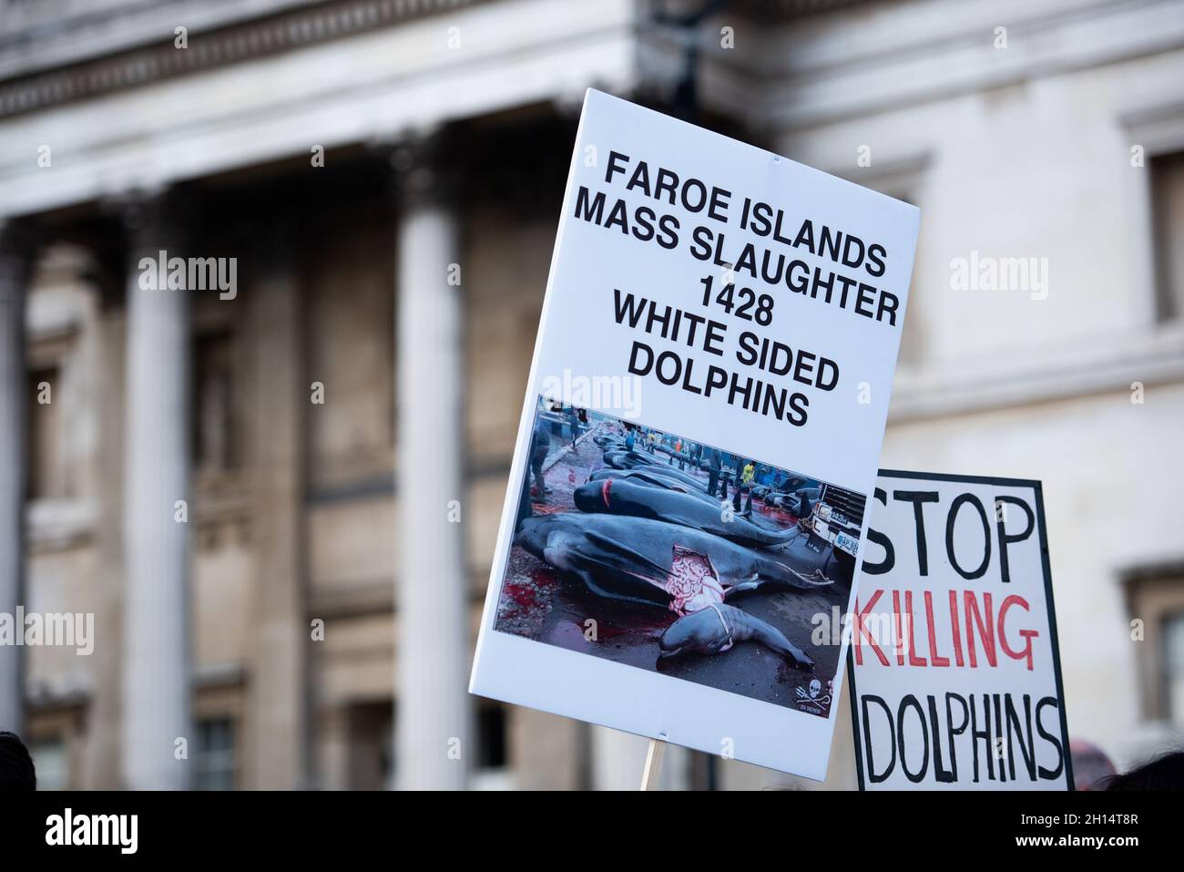 Activists hold signs during the Stop the Whale and Dolphin Slaughter Protest.Born Free's Policy Advisor Dominic Dyer calls for sanctions NOW to end the shameful Faroe Islands slaughter of whales and dolphins. The brutal slaughter of more than 1,400 white-sided dolphins in the Faroe Islands has triggered huge anger and revulsion around the world, and once again brought global attention to the long and bloody history of whale and dolphin-killing in this beautiful but isolated archipelago 200 miles north-west of Scotland. (Photo by Loredana Sangiuliano/SOPA Images/Sipa USA) Stock Photo