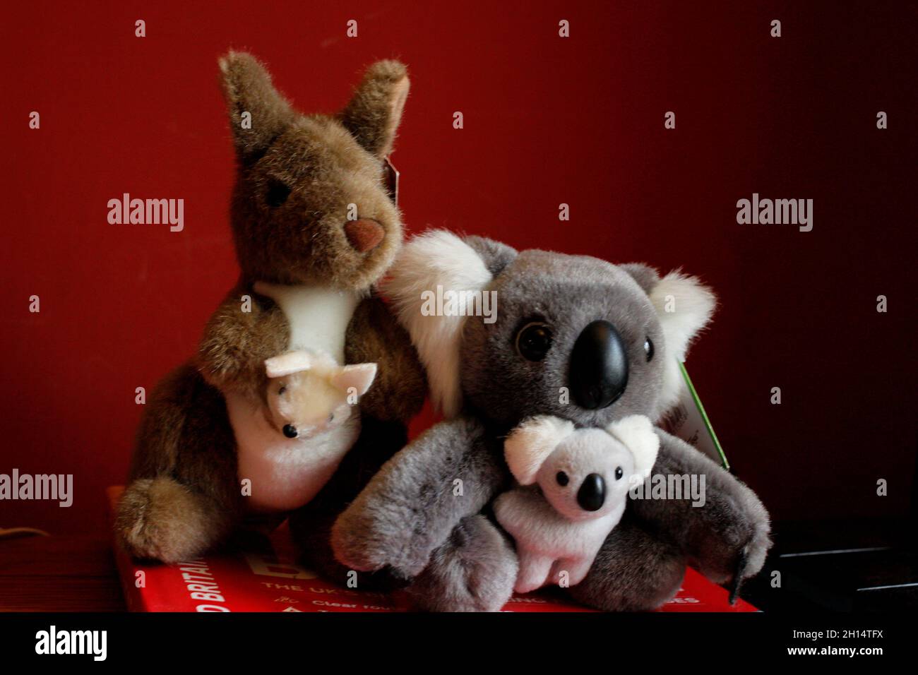 australian toy kangeroo and toy koala bear sitting close together on a red board,both toys showing there babys,canterbury,kent,uk october 2021 Stock Photo