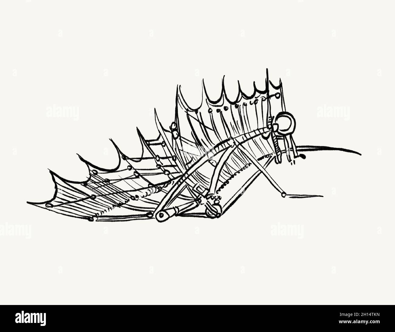 Leonardo Da Vinci's flying machine illustration Stock Photo