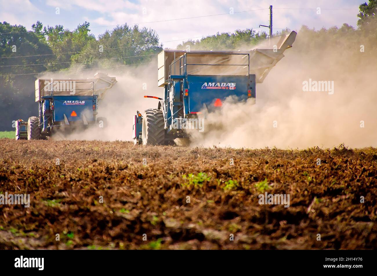 A farmer harvests peanuts using peanut combines, Oct. 15, 2021, in Grand Bay, Alabama. Stock Photo