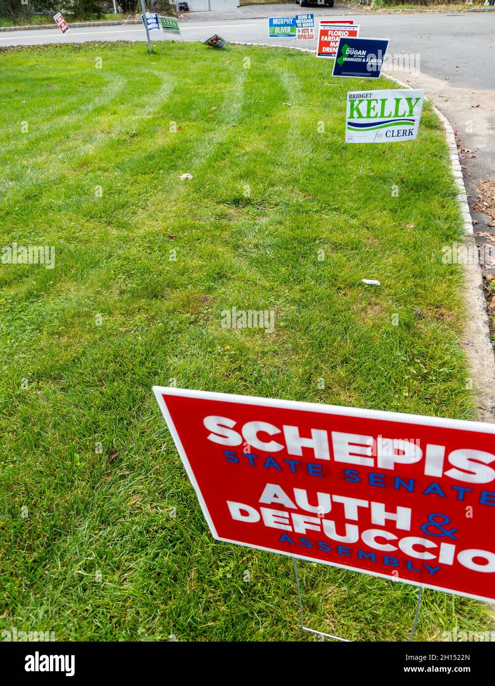 Political candidate signs along a road Stock Photo