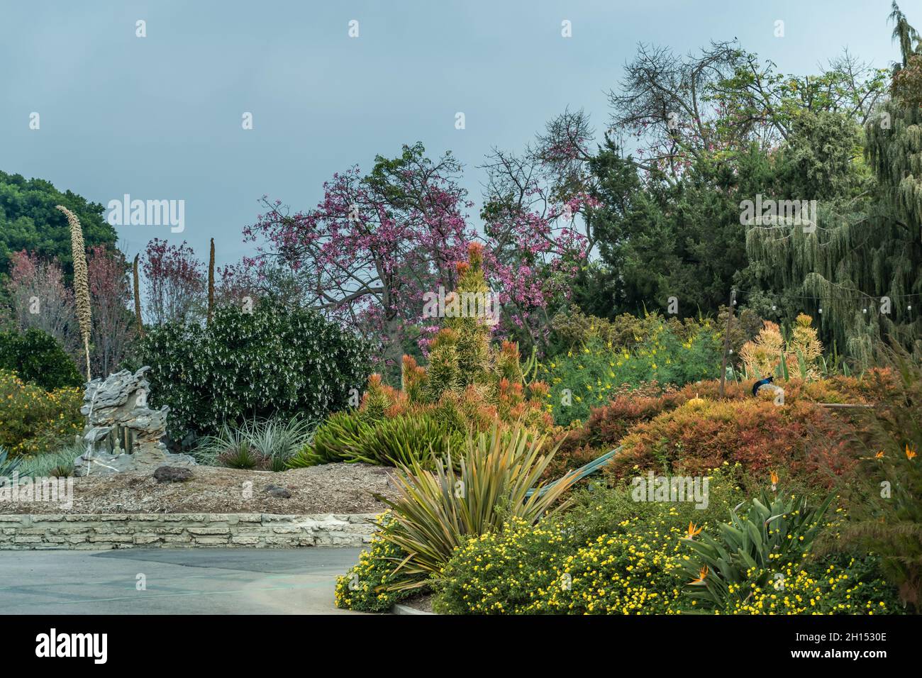 Colorful landscape scene in a park. Stock Photo