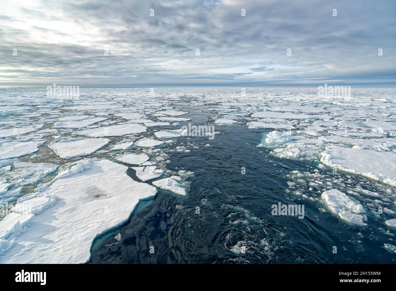 Broken pieces of Arctic sea ice north of Svalbard, Norway Stock Photo