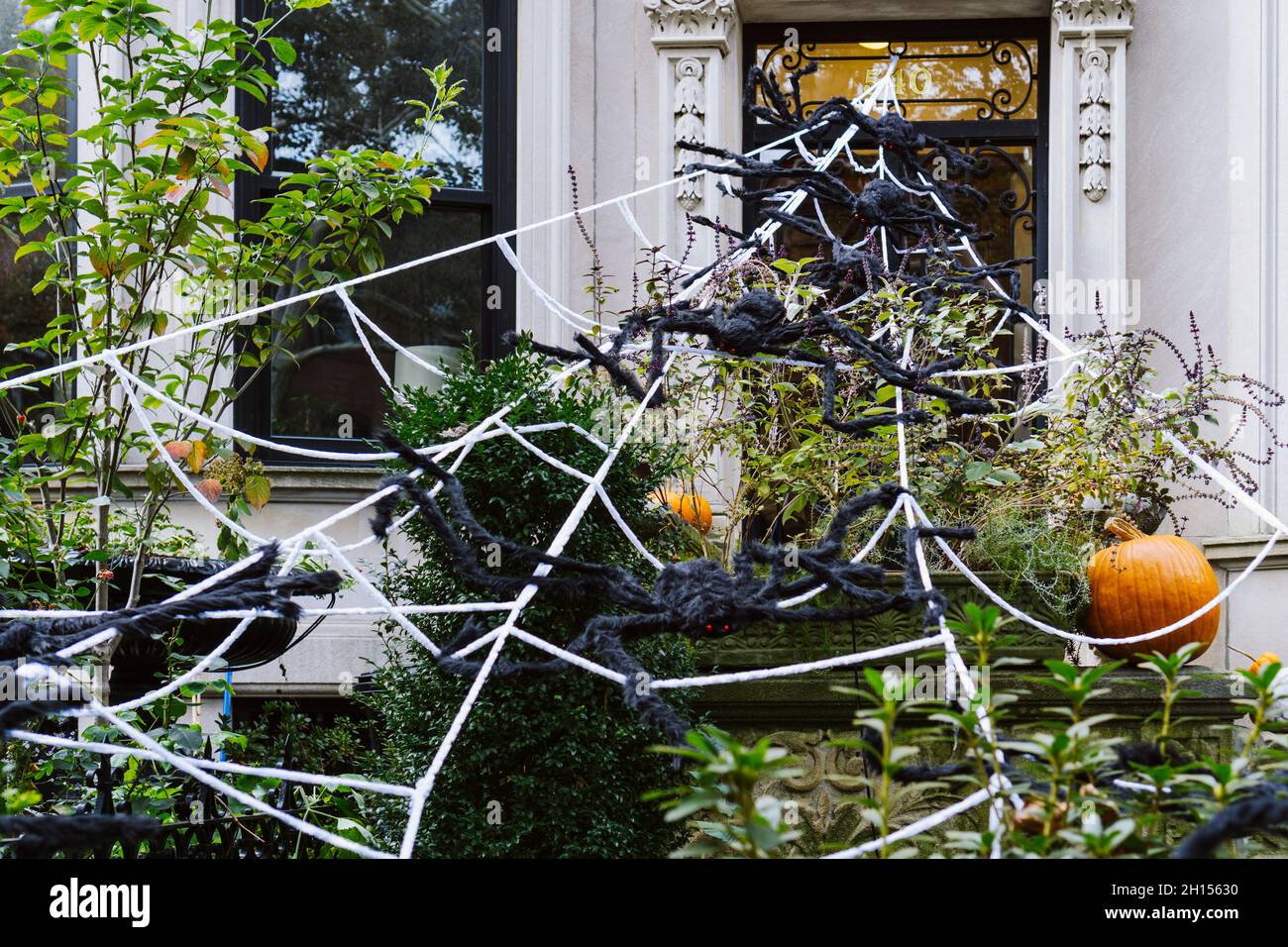 Stoop of brownstone building decorated with spider web and pumpkins for Halloween Stock Photo