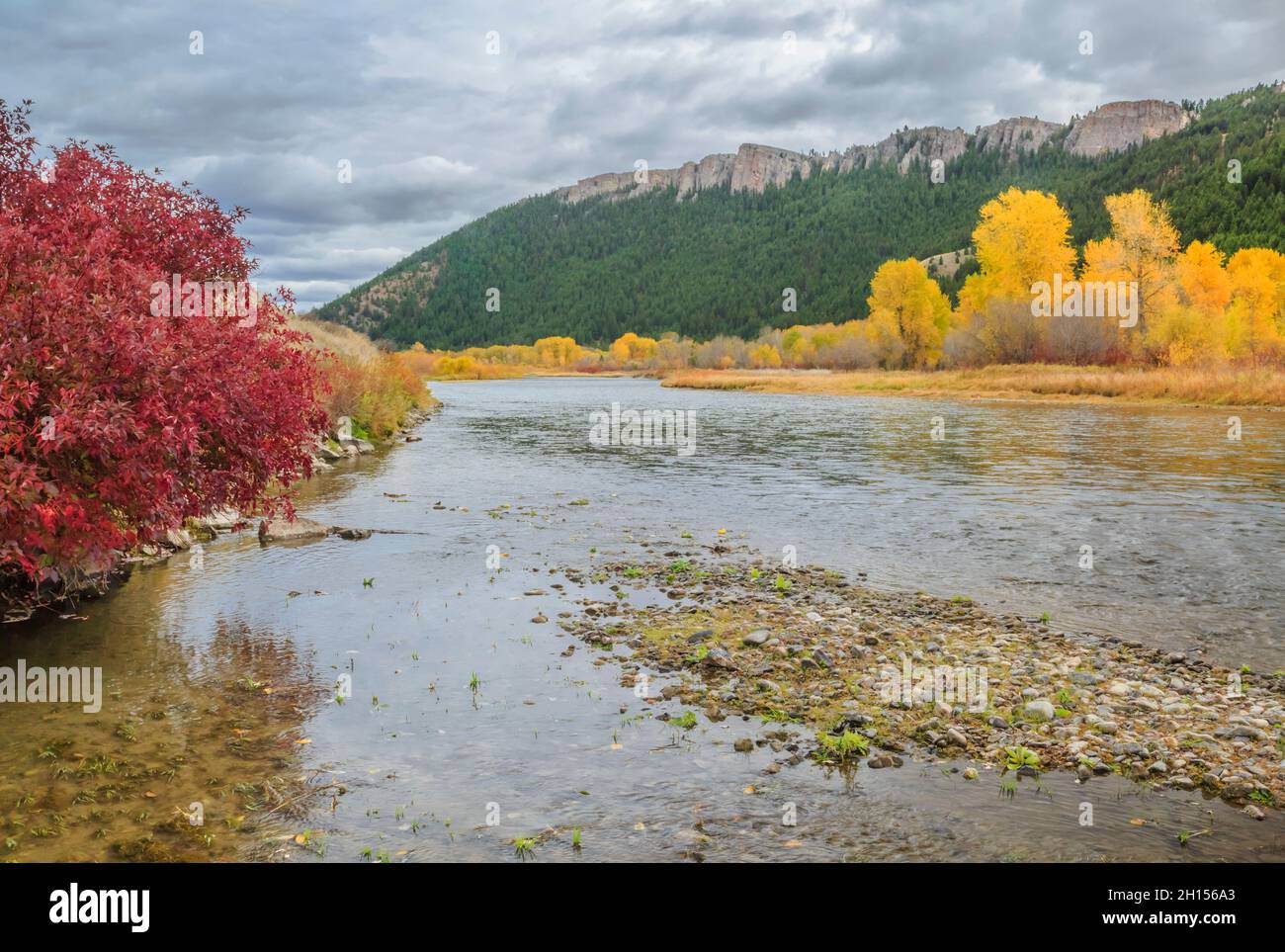 fall colors and cliffs along the clark fork river near drummond