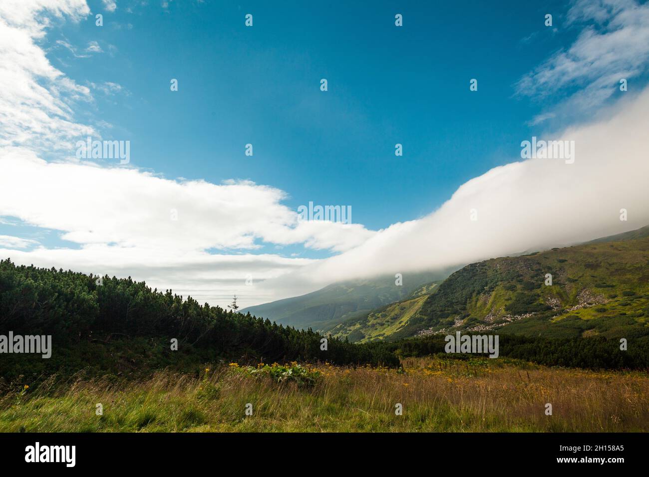 Mountain horison view, Ukrainian Carpathians Stock Photo
